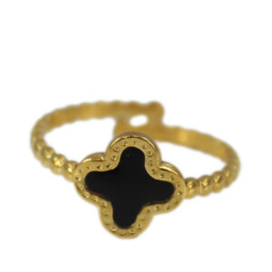 S. Steel with black clover bangle