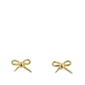 Stylish stainless steel earrings for women with lasting shine and everyday comfort
