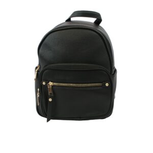 Compact womens backpack with double zip compartments and front zip pocket for everyday use.