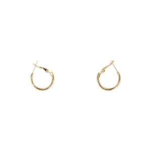 Classic Gold Stainless Steel Hoop Earrings