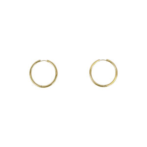 Large Gold Stainless Steel Hoop Earrings