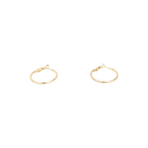 Gold Stainless Steel Hoop Earrings