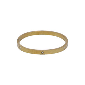 Gold Stainless Steel Bangle Bracelet
