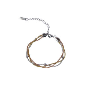 Stainless Steel Double Layer Snake Chain Bracelet