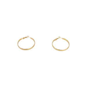 Stainless Steel Classic Hoop Earrings