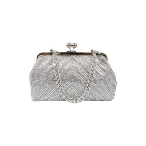 Radiant Beaded Frame Clutch