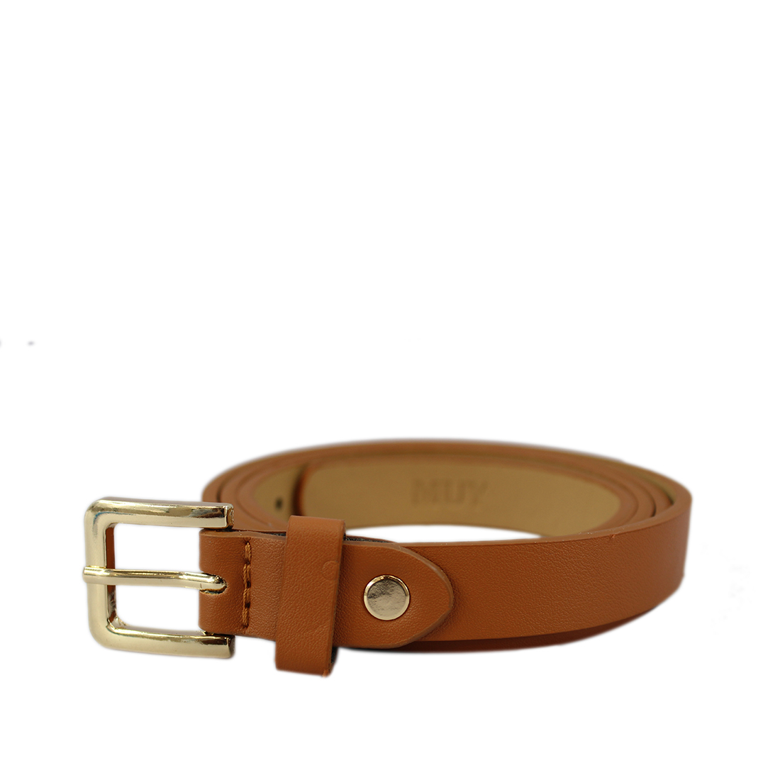 Small gold buckle