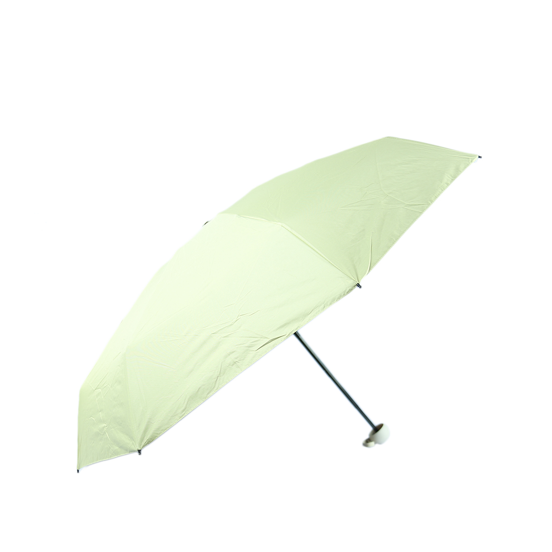 Compact  folded umbrella