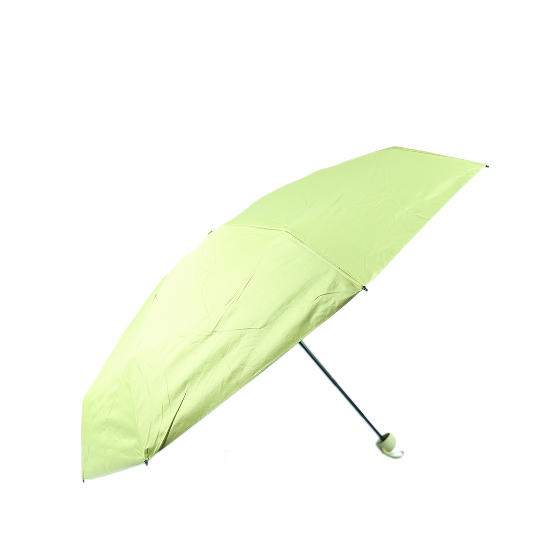 Compact  folded umbrella