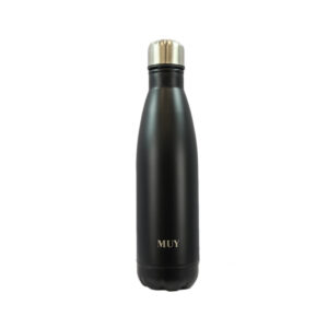 Plain stainless steel bottle