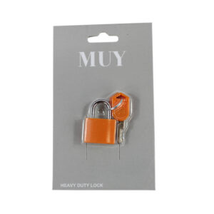 Heavy duty metal padlock with matching keys for secure everyday use.