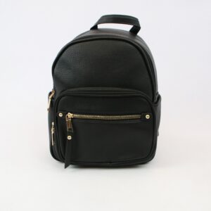 Compact women?s backpack with double zip compartments and front zip pocket for everyday use.