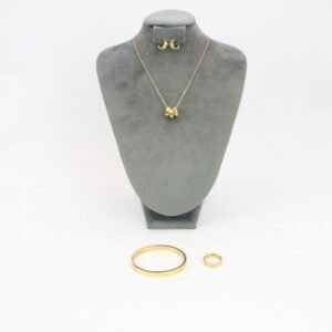 Stainless steel jewelry set with necklace, earrings, ring, and bangle design.