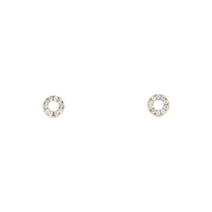 Stainless Steel Crystal Halo Stud Earrings