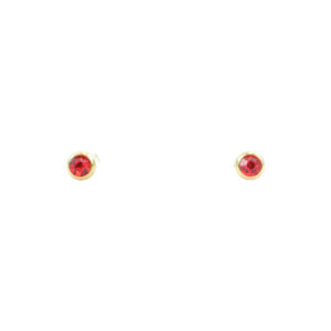 Stainless Steel Red Crystal Stud Earrings