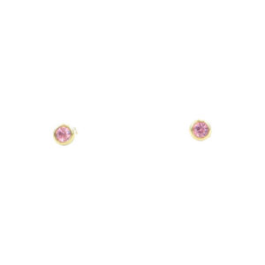 Stainless Steel Pink Crystal Stud Earrings