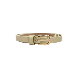 Slim Metallic Buckle Women's Waist Belt