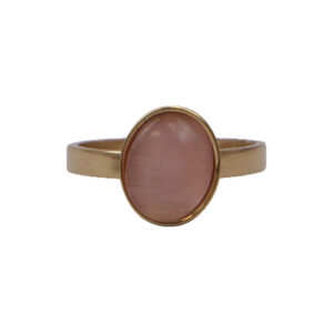 Gold Stainless Steel Brown Stone Ring